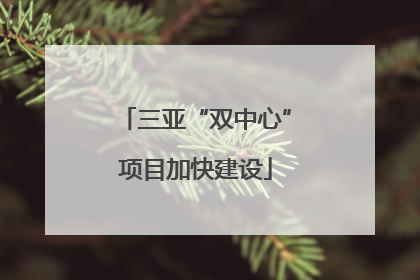 三亚“双中心”项目加快建设