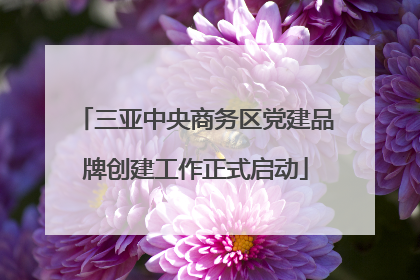 三亚中央商务区党建品牌创建工作正式启动