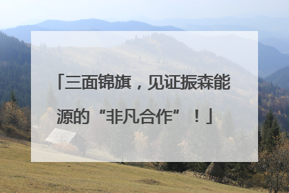 三面锦旗，见证振森能源的“非凡合作”！