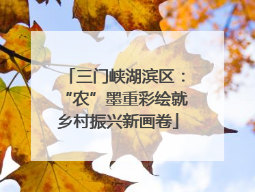 三门峡湖滨区：“农”墨重彩绘就乡村振兴新画卷