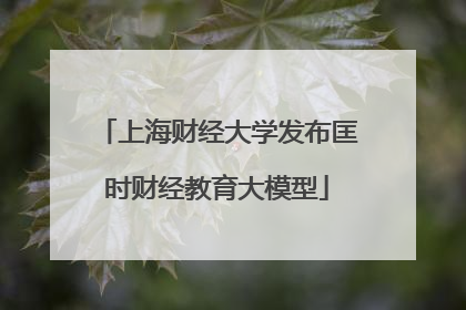 上海财经大学发布匡时财经教育大模型