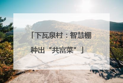 下瓦泉村：智慧棚种出“共富菜”