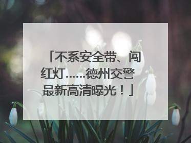 不系安全带、闯红灯……德州交警最新高清曝光！