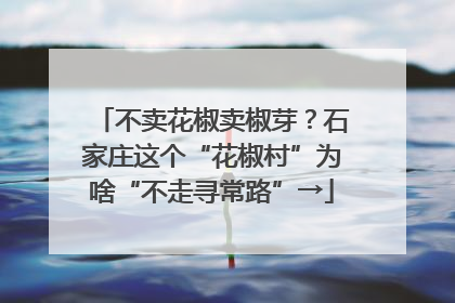 不卖花椒卖椒芽？石家庄这个“花椒村”为啥“不走寻常路”→