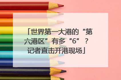 世界第一大港的“第六港区”有多“6”？记者直击开港现场