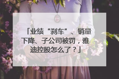业绩“刹车”、销量下降、子公司被罚，雅迪控股怎么了？