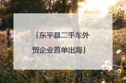 东平县二手车外贸企业首单出海