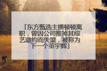 东方甄选主播顿顿离职，曾因公司推掉其综艺邀约而失望，被称为下一个董宇辉