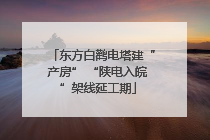 东方白鹳电塔建“产房” “陕电入皖”架线延工期