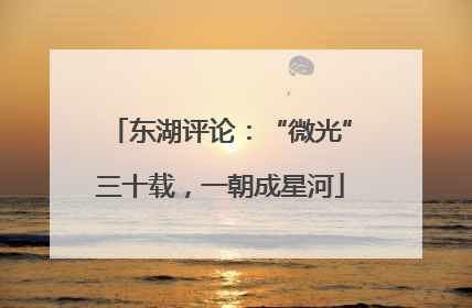 东湖评论：“微光”三十载，一朝成星河