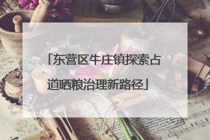东营区牛庄镇探索占道晒粮治理新路径