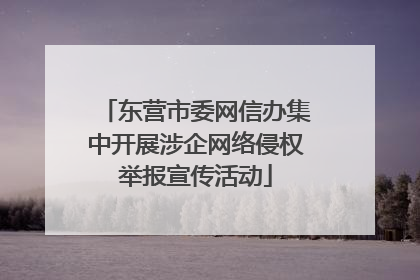 东营市委网信办集中开展涉企网络侵权举报宣传活动