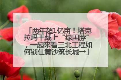 两年超1亿亩！塔克拉玛干戴上“绿围脖”，一起来看三北工程如何锁住黄沙筑长城→