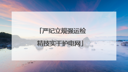 严纪立规强运检 精技实干护电网
