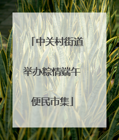 中关村街道举办粽情端午便民市集