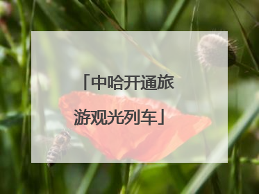 中哈开通旅游观光列车