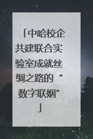 中哈校企共建联合实验室成就丝绸之路的“数字联姻”