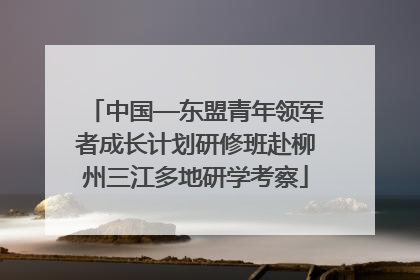 中国—东盟青年领军者成长计划研修班赴柳州三江多地研学考察