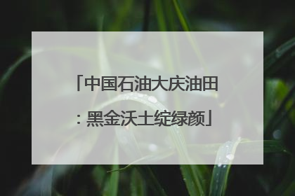 中国石油大庆油田：黑金沃土绽绿颜