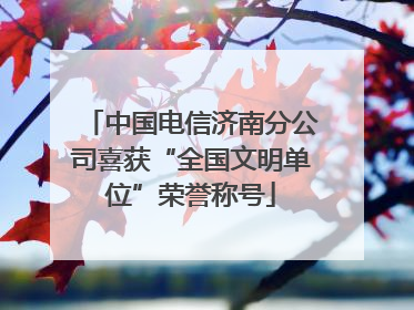 中国电信济南分公司喜获“全国文明单位”荣誉称号