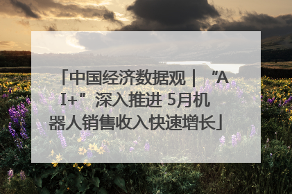 中国经济数据观｜“AI+”深入推进 5月机器人销售收入快速增长