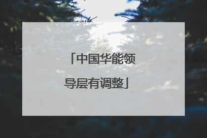 中国华能领导层有调整