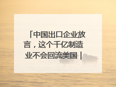 中国出口企业放言，这个千亿制造业不会回流美国｜海斌访谈