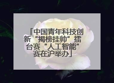 中国青年科技创新“揭榜挂帅”擂台赛“人工智能”赛在沪举办
