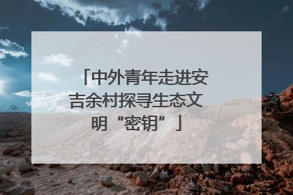 中外青年走进安吉余村探寻生态文明“密钥”