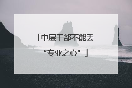 中层干部不能丢“专业之心”