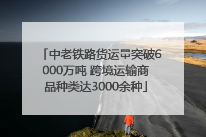 中老铁路货运量突破6000万吨 跨境运输商品种类达3000余种