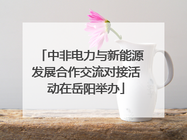 中非电力与新能源发展合作交流对接活动在岳阳举办