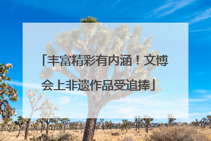 丰富精彩有内涵！文博会上非遗作品受追捧