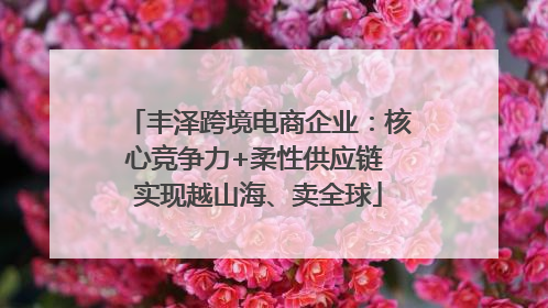 丰泽跨境电商企业：核心竞争力+柔性供应链 实现越山海、卖全球