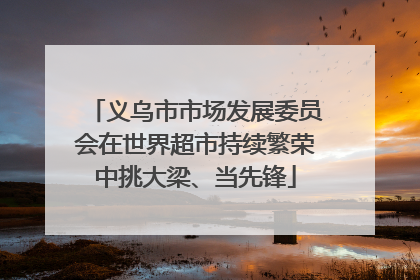义乌市市场发展委员会在世界超市持续繁荣中挑大梁、当先锋