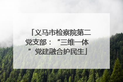 义马市检察院第二党支部：“三维一体”党建融合护民生