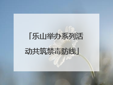 乐山举办系列活动共筑禁毒防线