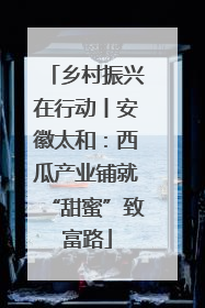 乡村振兴在行动丨安徽太和：西瓜产业铺就“甜蜜”致富路