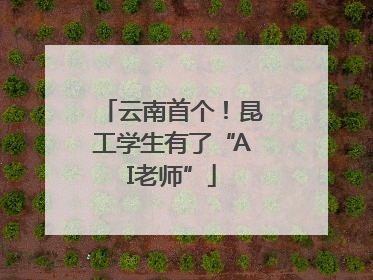 云南首个！昆工学生有了“AI老师”