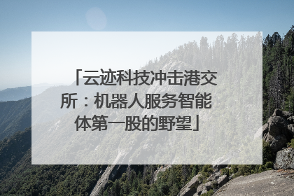 云迹科技冲击港交所：机器人服务智能体第一股的野望