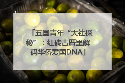五国青年“大社探秘”：红砖古厝里解码华侨爱国DNA