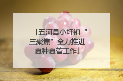 五河县小圩镇“三聚焦”全力推进夏种夏管工作