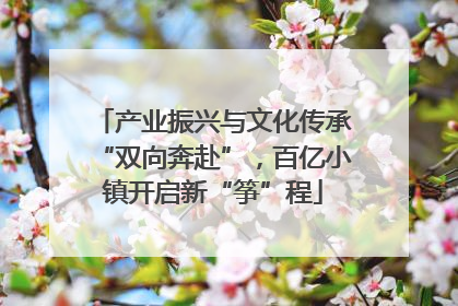产业振兴与文化传承“双向奔赴”，百亿小镇开启新“筝”程