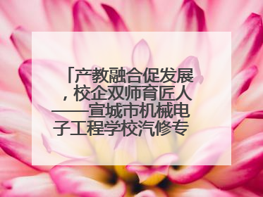 产教融合促发展，校企双师育匠人——宣城市机械电子工程学校汽修专业“双师”教学月活动收官