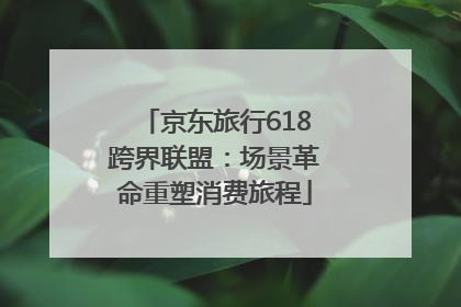 京东旅行618跨界联盟：场景革命重塑消费旅程