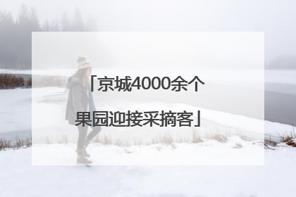 京城4000余个果园迎接采摘客