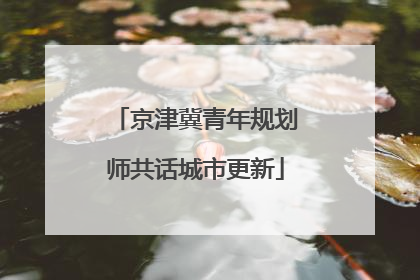 京津冀青年规划师共话城市更新