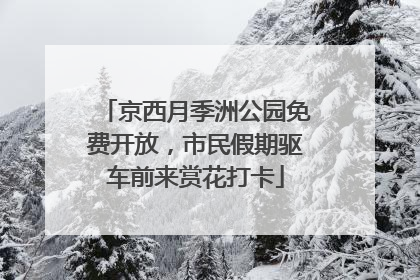 京西月季洲公园免费开放，市民假期驱车前来赏花打卡