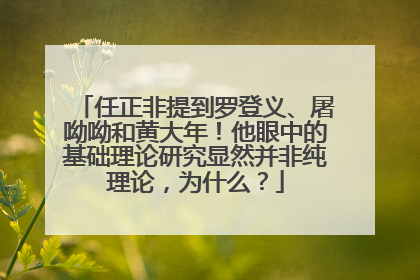 任正非提到罗登义、屠呦呦和黄大年！他眼中的基础理论研究显然并非纯理论，为什么？