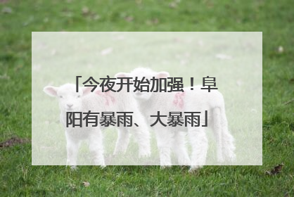 今夜开始加强！阜阳有暴雨、大暴雨